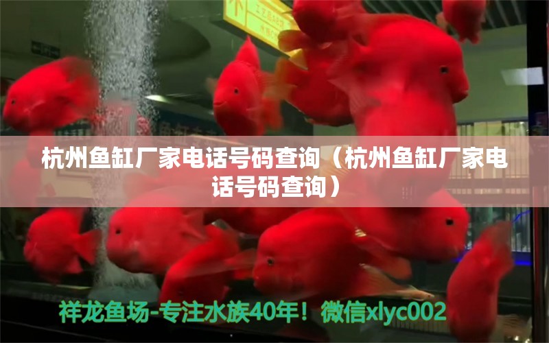 杭州魚缸廠家電話號(hào)碼查詢（杭州魚缸廠家電話號(hào)碼查詢） 祥龍水族醫(yī)院