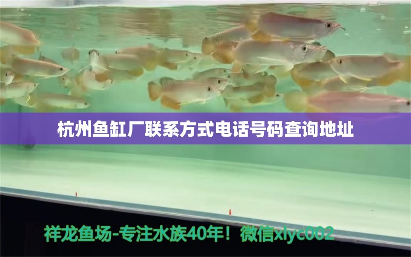 杭州魚缸廠聯(lián)系方式電話號碼查詢地址