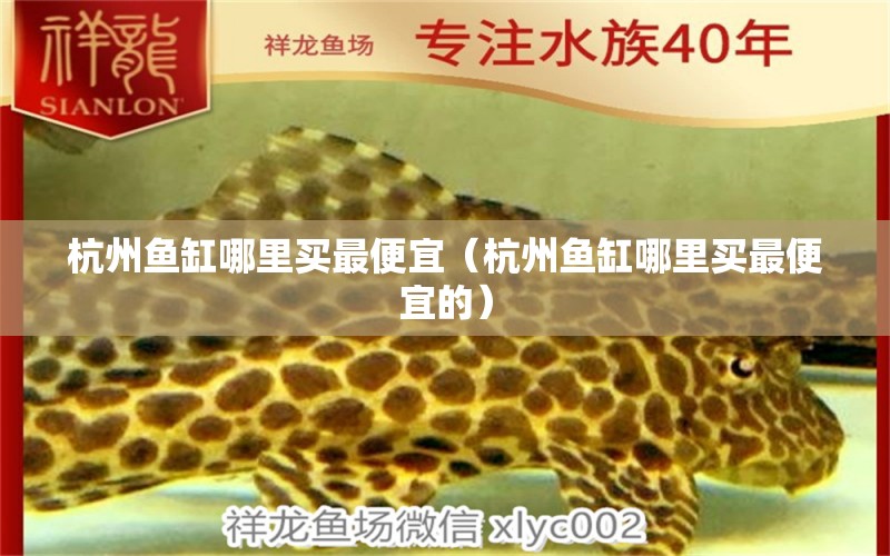 杭州魚缸哪里買最便宜（杭州魚缸哪里買最便宜的）