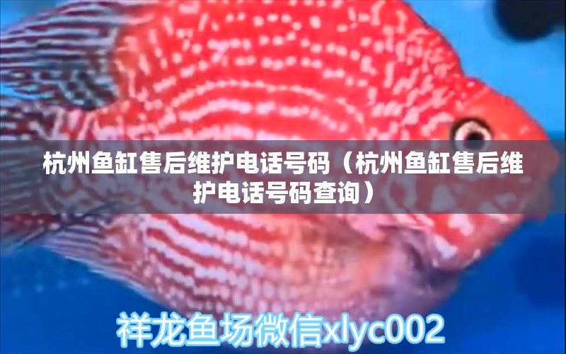 杭州魚缸售后維護(hù)電話號(hào)碼（杭州魚缸售后維護(hù)電話號(hào)碼查詢）