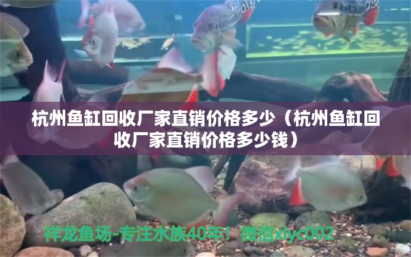 杭州魚缸回收廠家直銷價格多少（杭州魚缸回收廠家直銷價格多少錢）