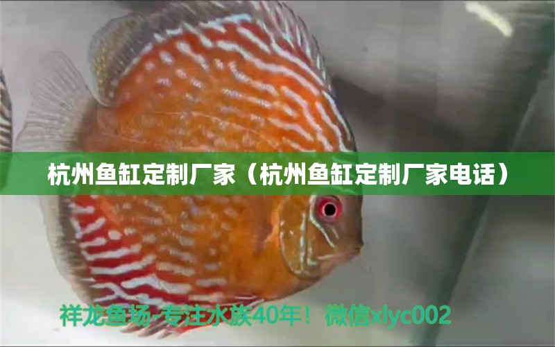 杭州魚缸定制廠家（杭州魚缸定制廠家電話）