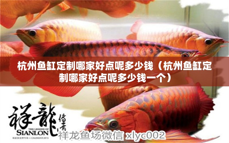 杭州魚缸定制哪家好點呢多少錢（杭州魚缸定制哪家好點呢多少錢一個） 祥龍水族醫(yī)院