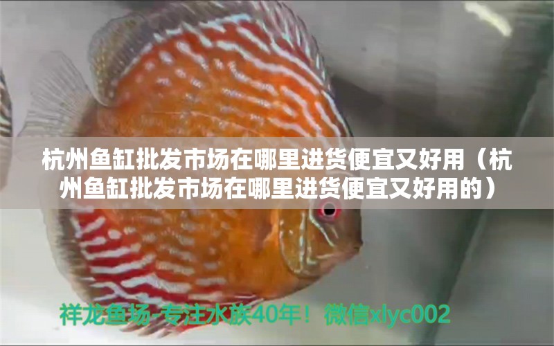 杭州魚缸批發(fā)市場在哪里進貨便宜又好用（杭州魚缸批發(fā)市場在哪里進貨便宜又好用的） 祥龍水族醫(yī)院