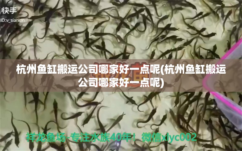 杭州魚(yú)缸搬運(yùn)公司哪家好一點(diǎn)呢(杭州魚(yú)缸搬運(yùn)公司哪家好一點(diǎn)呢)