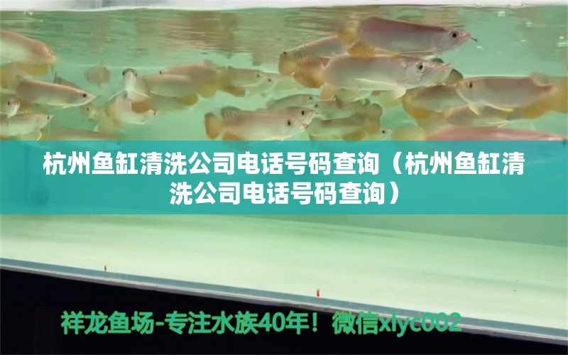 杭州魚缸清洗公司電話號碼查詢（杭州魚缸清洗公司電話號碼查詢）