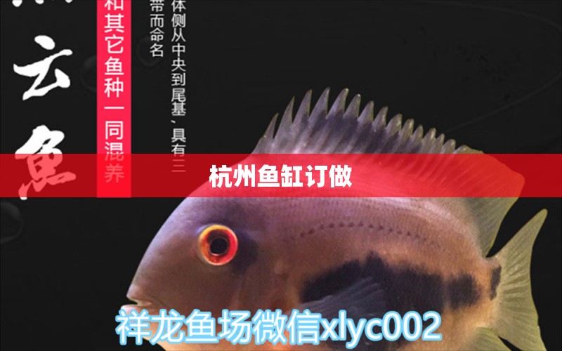 杭州魚(yú)缸訂做