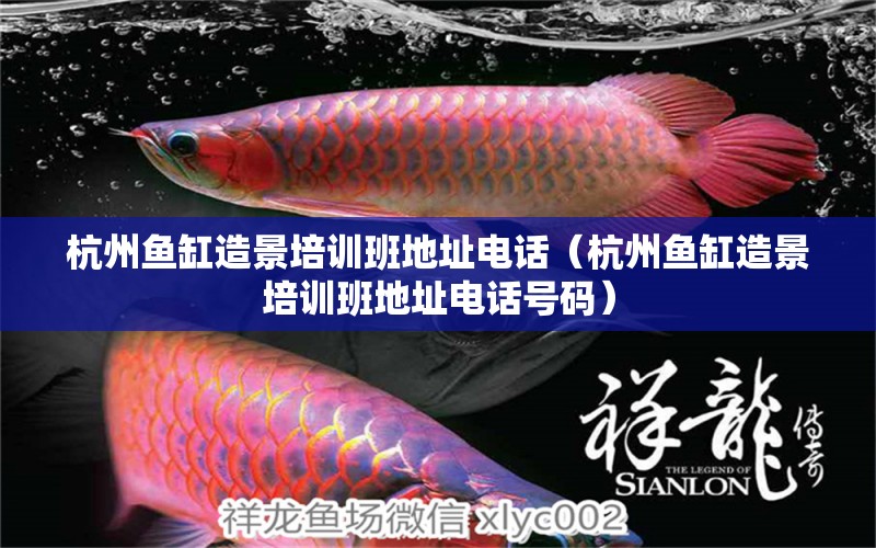 杭州魚(yú)缸造景培訓(xùn)班地址電話（杭州魚(yú)缸造景培訓(xùn)班地址電話號(hào)碼）