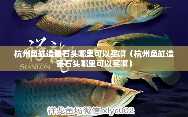 杭州魚缸造景石頭哪里可以買?。ê贾蒴~缸造景石頭哪里可以買?。? title=