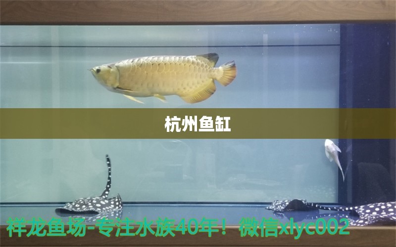 杭州魚缸 其他品牌魚缸