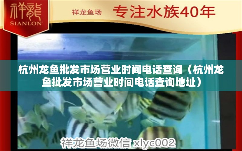 杭州龍魚批發(fā)市場營業(yè)時間電話查詢（杭州龍魚批發(fā)市場營業(yè)時間電話查詢地址）