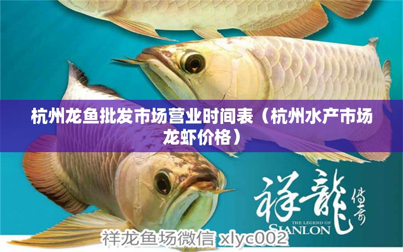 杭州龍魚批發(fā)市場(chǎng)營(yíng)業(yè)時(shí)間表（杭州水產(chǎn)市場(chǎng)龍蝦價(jià)格）