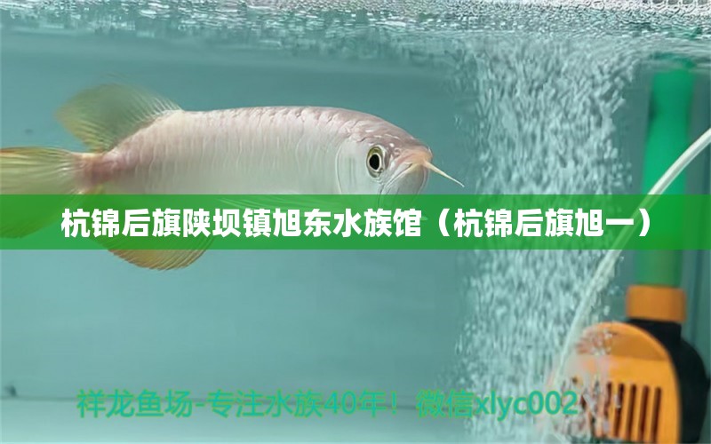 杭錦后旗陜壩鎮(zhèn)旭東水族館（杭錦后旗旭一） 全國水族館企業(yè)名錄