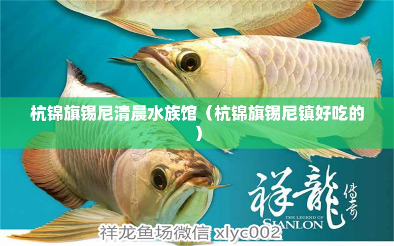 杭錦旗錫尼清晨水族館（杭錦旗錫尼鎮(zhèn)好吃的）