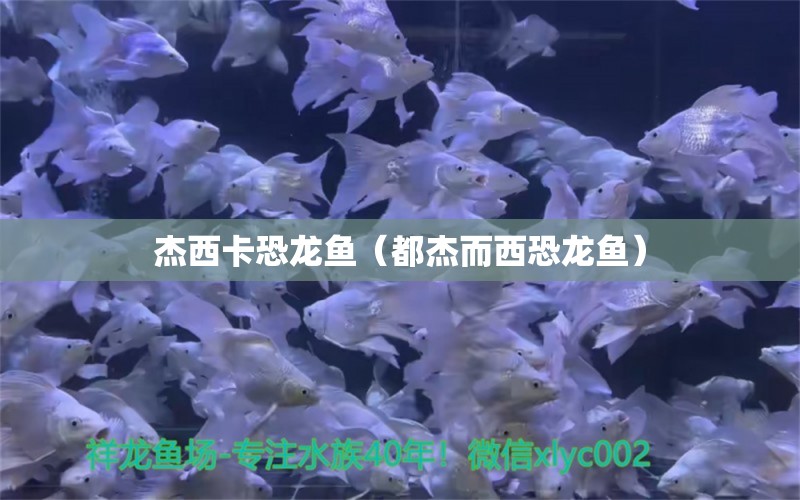 杰西卡恐龍魚（都杰而西恐龍魚）