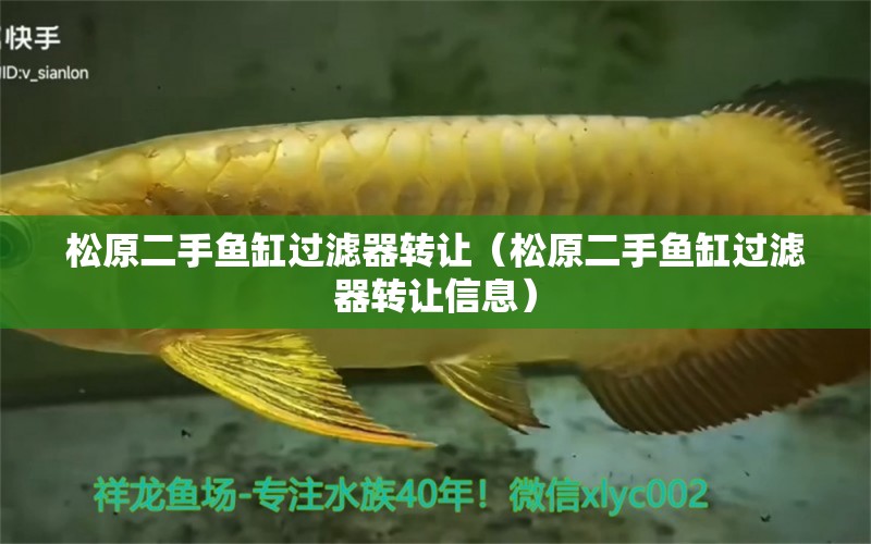 松原二手魚缸過濾器轉(zhuǎn)讓（松原二手魚缸過濾器轉(zhuǎn)讓信息）