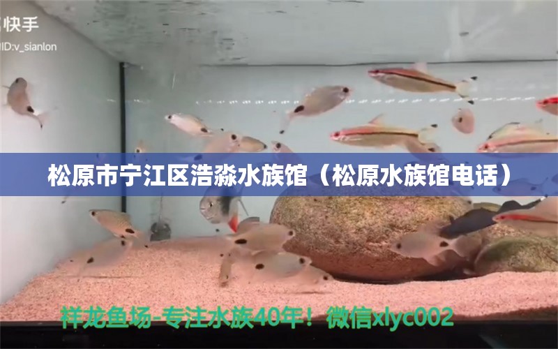 松原市寧江區(qū)浩淼水族館（松原水族館電話） 全國水族館企業(yè)名錄