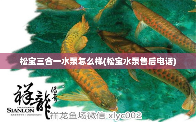 松寶三合一水泵怎么樣(松寶水泵售后電話) 觀賞魚 第1張