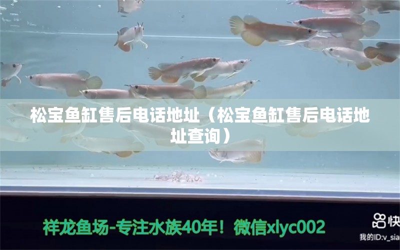 松寶魚缸售后電話地址（松寶魚缸售后電話地址查詢）