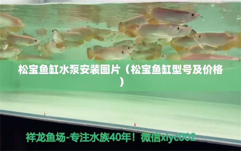 松寶魚(yú)缸水泵安裝圖片（松寶魚(yú)缸型號(hào)及價(jià)格）