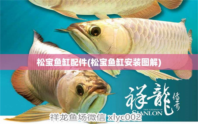 松寶魚缸配件(松寶魚缸安裝圖解) 撒旦鴨嘴魚