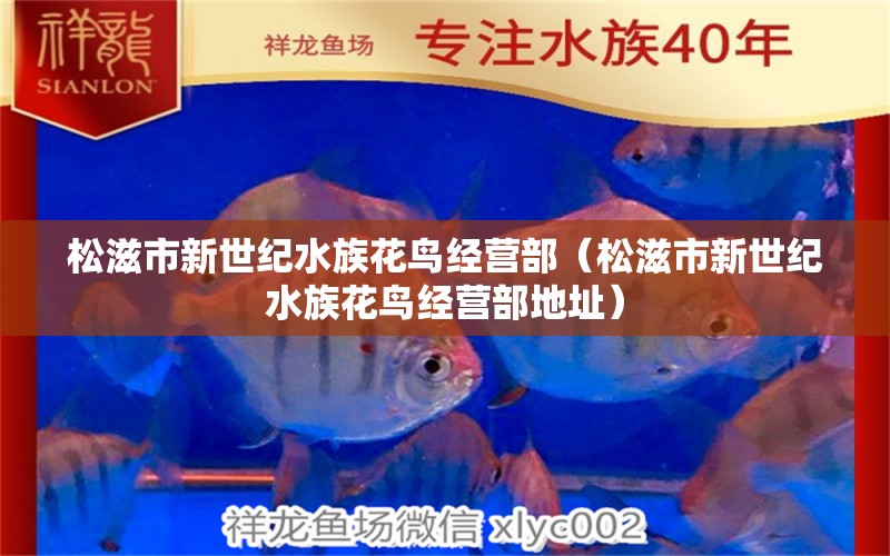 松滋市新世紀(jì)水族花鳥經(jīng)營部（松滋市新世紀(jì)水族花鳥經(jīng)營部地址） 全國水族館企業(yè)名錄