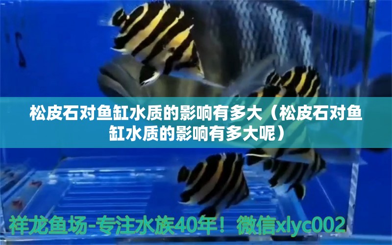 松皮石對(duì)魚(yú)缸水質(zhì)的影響有多大（松皮石對(duì)魚(yú)缸水質(zhì)的影響有多大呢） 其他品牌魚(yú)缸