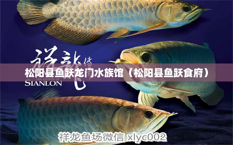 松陽縣魚躍龍門水族館（松陽縣魚躍食府）