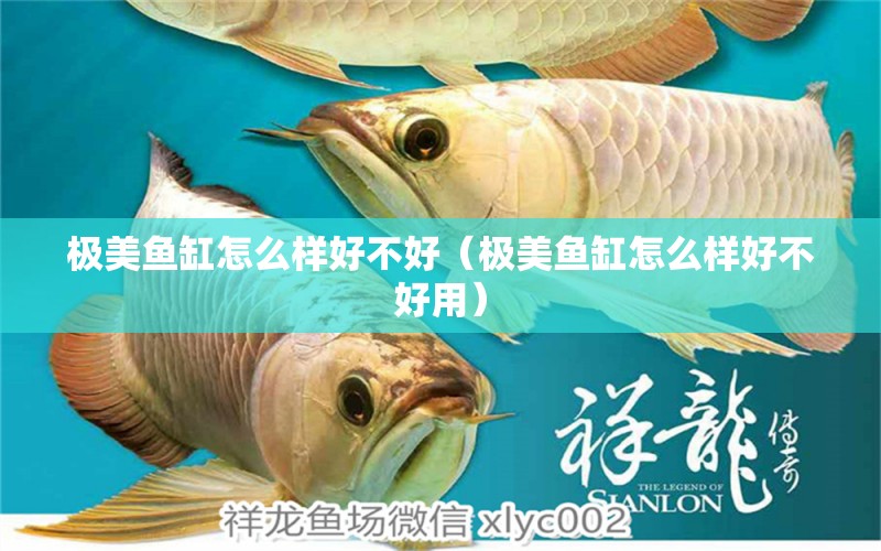 極美魚缸怎么樣好不好（極美魚缸怎么樣好不好用） 照明器材