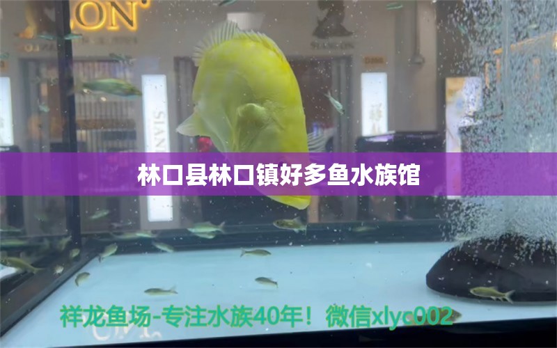 林口縣林口鎮(zhèn)好多魚水族館