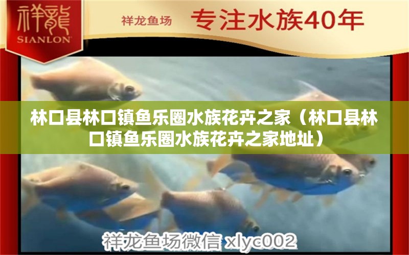 林口縣林口鎮(zhèn)魚樂圈水族花卉之家（林口縣林口鎮(zhèn)魚樂圈水族花卉之家地址）