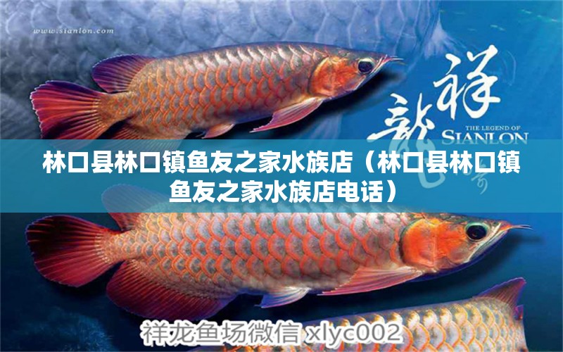 林口縣林口鎮(zhèn)魚友之家水族店（林口縣林口鎮(zhèn)魚友之家水族店電話） 全國水族館企業(yè)名錄