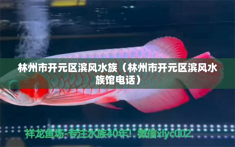 林州市開元區(qū)濱風水族（林州市開元區(qū)濱風水族館電話） 魚缸風水