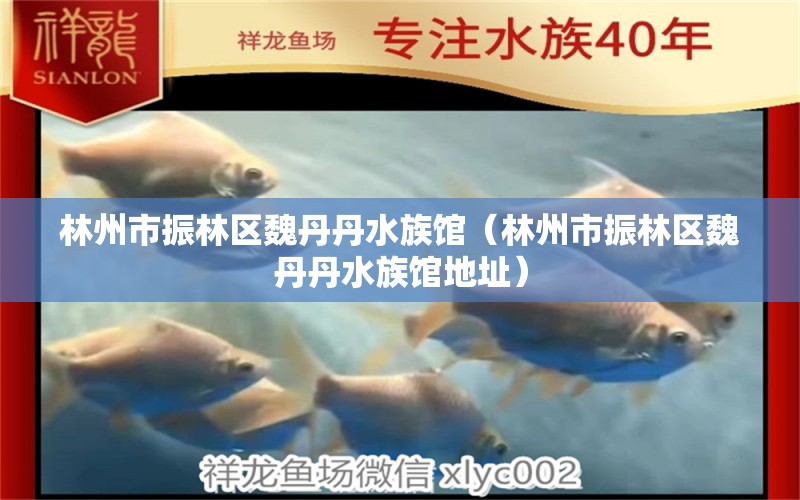 林州市振林區(qū)魏丹丹水族館（林州市振林區(qū)魏丹丹水族館地址）