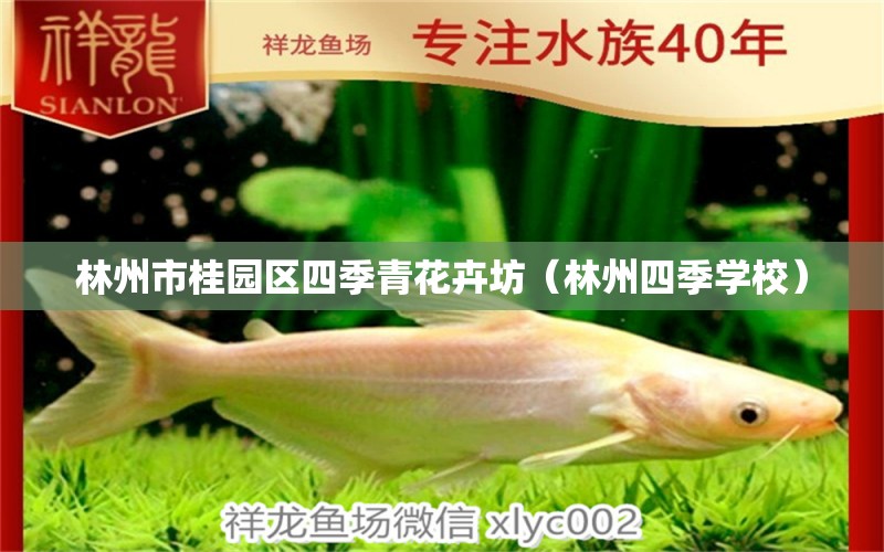 林州市桂園區(qū)四季青花卉坊（林州四季學(xué)校） 全國水族館企業(yè)名錄