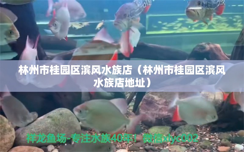 林州市桂園區(qū)濱風(fēng)水族店（林州市桂園區(qū)濱風(fēng)水族店地址） 魚缸風(fēng)水