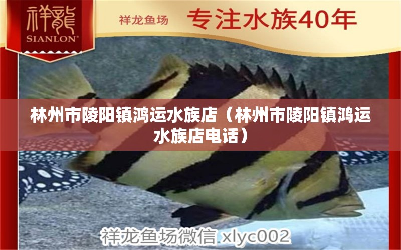 林州市陵陽鎮(zhèn)鴻運(yùn)水族店（林州市陵陽鎮(zhèn)鴻運(yùn)水族店電話） 全國(guó)水族館企業(yè)名錄