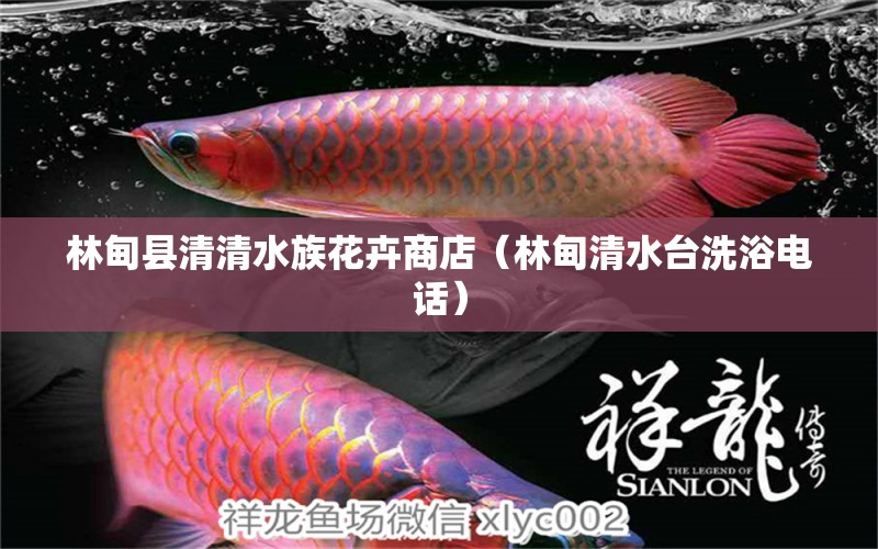 林甸縣清清水族花卉商店（林甸清水臺(tái)洗浴電話）