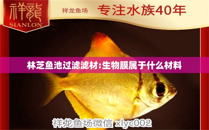 林芝魚池過濾濾材:生物膜屬于什么材料