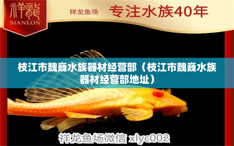 枝江市魏巍水族器材經(jīng)營(yíng)部（枝江市魏巍水族器材經(jīng)營(yíng)部地址）