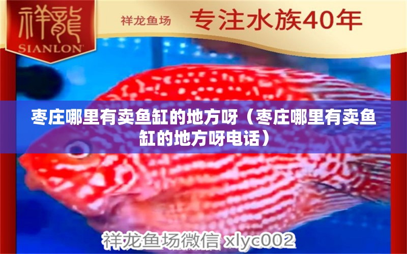 棗莊哪里有賣魚缸的地方呀（棗莊哪里有賣魚缸的地方呀電話） 祥龍水族醫(yī)院