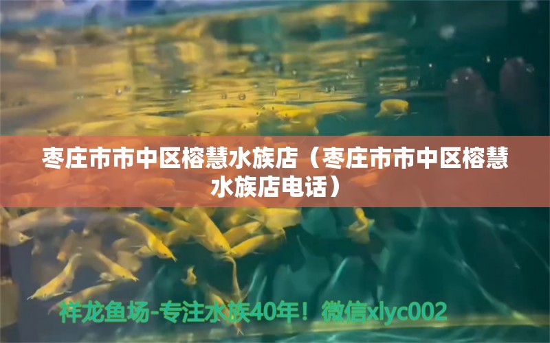 棗莊市市中區(qū)榕慧水族店（棗莊市市中區(qū)榕慧水族店電話） 全國水族館企業(yè)名錄