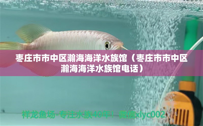 棗莊市市中區(qū)瀚海海洋水族館（棗莊市市中區(qū)瀚海海洋水族館電話）