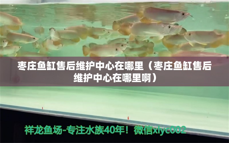 棗莊魚(yú)缸售后維護(hù)中心在哪里（棗莊魚(yú)缸售后維護(hù)中心在哪里?。?其他品牌魚(yú)缸