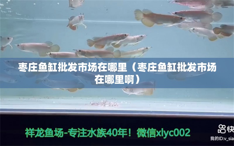 棗莊魚缸批發(fā)市場在哪里（棗莊魚缸批發(fā)市場在哪里?。? title=