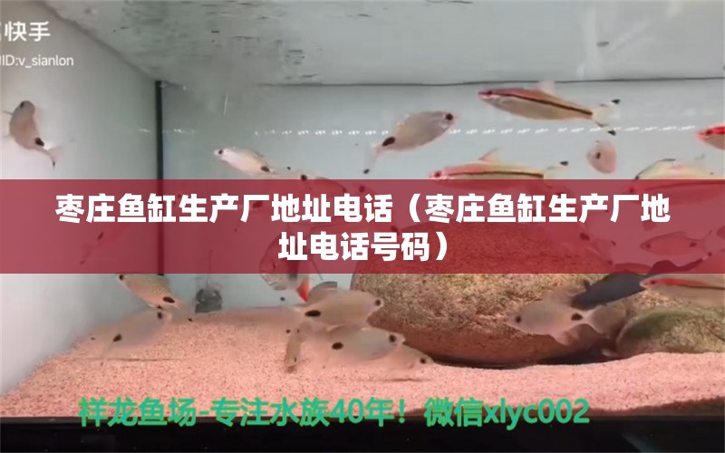 棗莊魚缸生產(chǎn)廠地址電話（棗莊魚缸生產(chǎn)廠地址電話號碼）