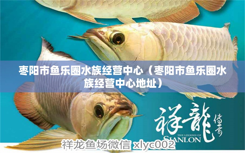 棗陽市魚樂圈水族經(jīng)營中心（棗陽市魚樂圈水族經(jīng)營中心地址） 全國水族館企業(yè)名錄