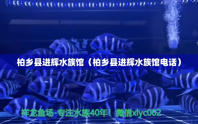 柏鄉(xiāng)縣進(jìn)輝水族館（柏鄉(xiāng)縣進(jìn)輝水族館電話）