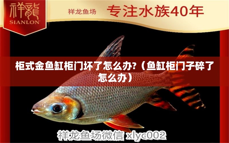 柜式金魚缸柜門壞了怎么辦?（魚缸柜門子碎了怎么辦） 祥龍魚場(chǎng)