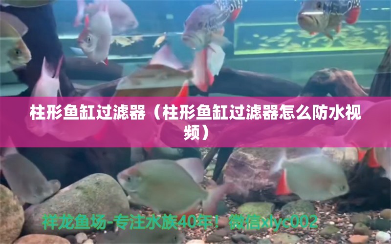 柱形魚缸過濾器（柱形魚缸過濾器怎么防水視頻） 祥龍金禾金龍魚